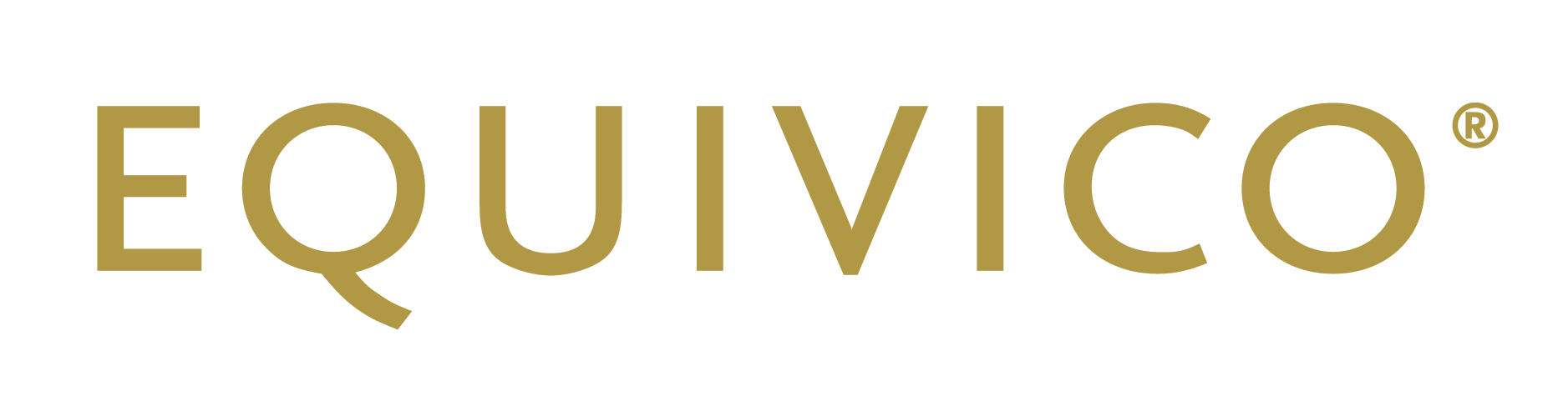 1-case-Equivico-logo