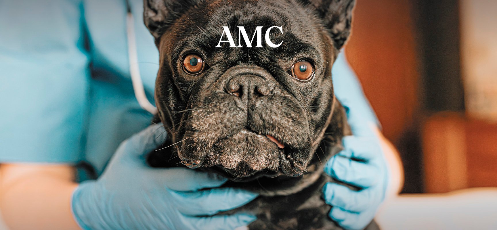 Ideon_AMC_HomeHero_1728x800