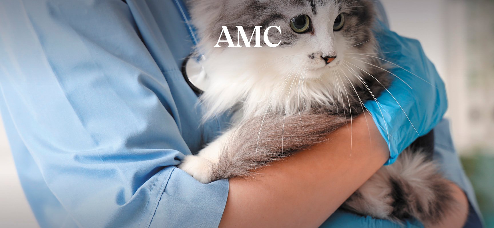 Ideon_AMC_WorkHero_1728x800