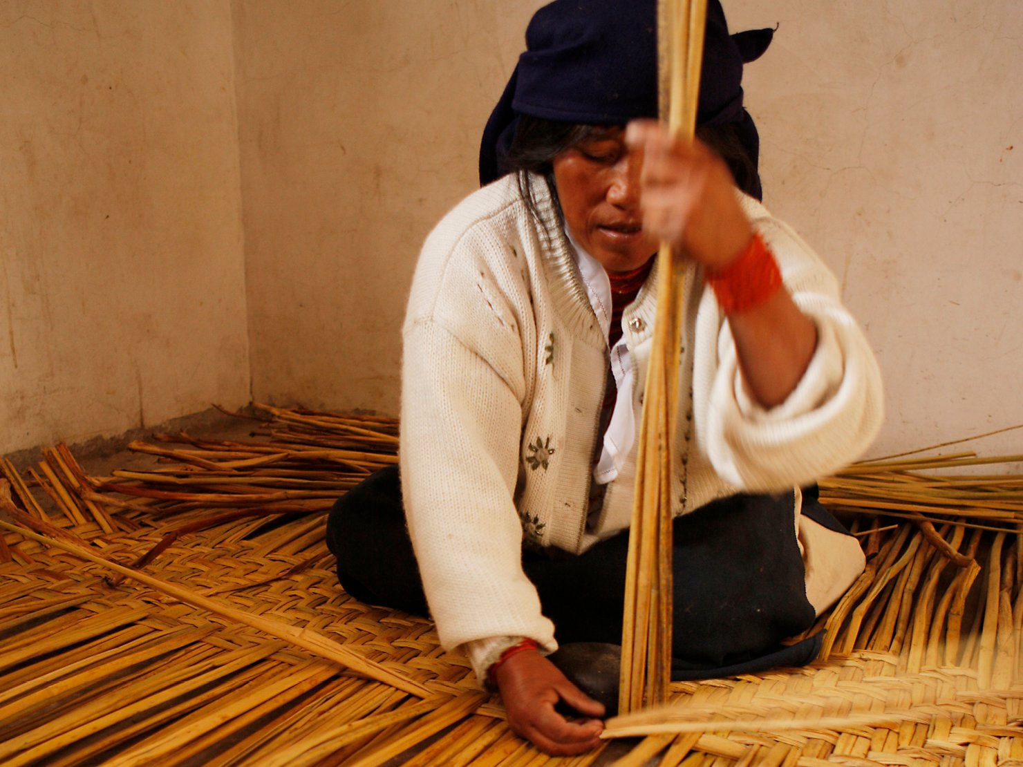 9_Accion_Microfinance2_1480x11109